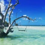 Key West Sandbar Charter - The Real Benefits: Why This Tour Stands Out