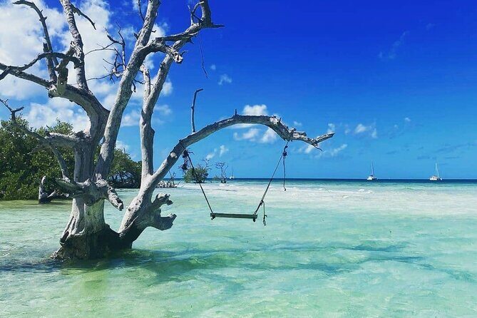 Key West Sandbar Charter - The Real Benefits: Why This Tour Stands Out