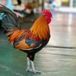 Key West: Secret Walking Food Tour - Beyond the Food: The Local Context