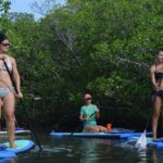 Key West Stand Up Paddleboard Rental - Who Will Love This Tour?