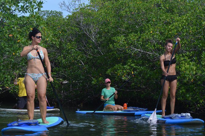 Key West Stand Up Paddleboard Rental - Who Will Love This Tour?