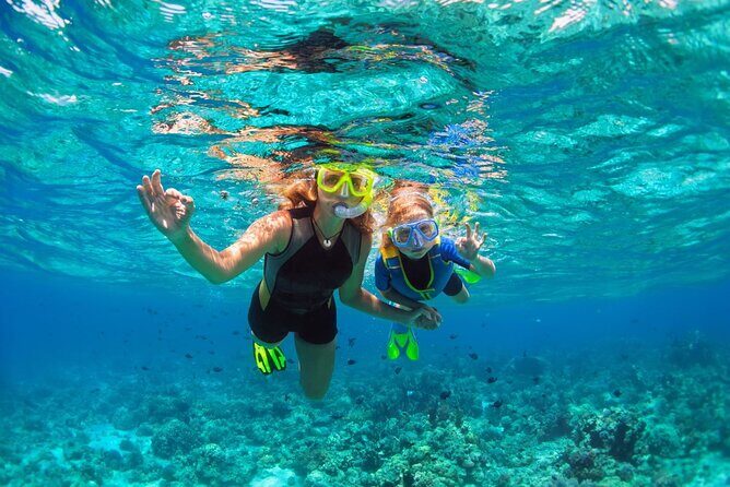 Key West Sunset Snorkel with Unlimited Draft Beer & Wine - Who Would Love This Tour?