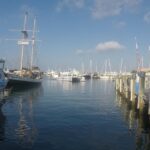Key West Tour and Coral Reef Snorkeling with Open Bar - Who Should Consider This Tour?