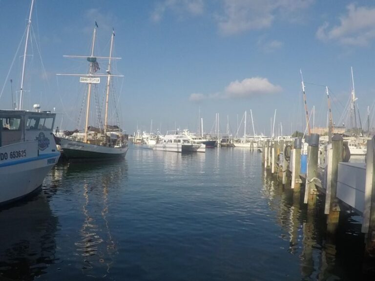 Key West Tour and Coral Reef Snorkeling with Open Bar - Who Should Consider This Tour?