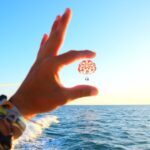 Key West: Ultimate Parasailing Experience - Final Thoughts