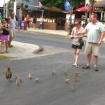 Key Wests Old Town Treasures: A Self-Guided Audio Tour - Final Thoughts: Who Will Love This Tour?