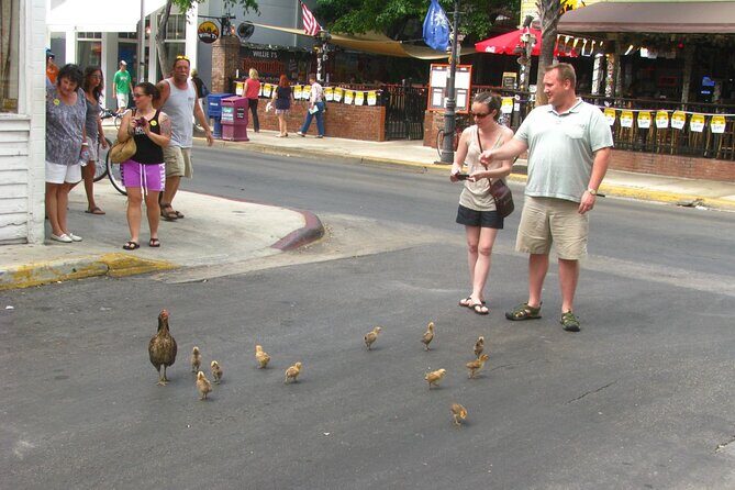 Key Wests Old Town Treasures: A Self-Guided Audio Tour - Final Thoughts: Who Will Love This Tour?
