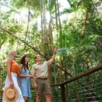 K'Gari (Fraser Island) 3-Day Getaway from Hervey Bay + Illumina - What Makes This Tour Stand Out?