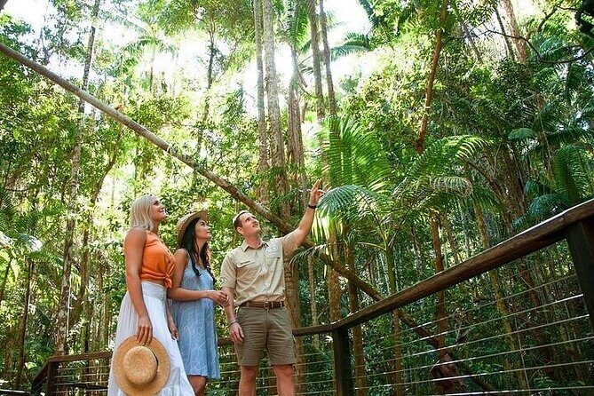 K'Gari (Fraser Island) 3-Day Getaway from Hervey Bay + Illumina - What Makes This Tour Stand Out?
