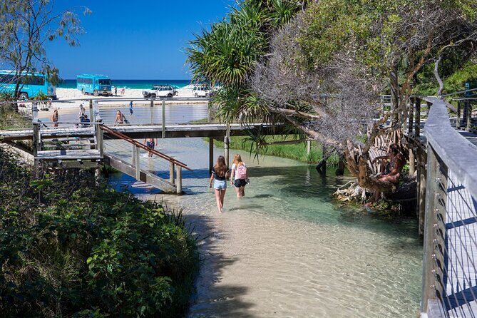 K'gari (Fraser Island) All Inclusive Day Tour - Who Is This Tour Best For?