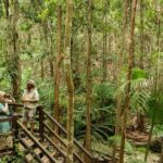 K'gari (Fraser Island) Explorer 2-Day Tour - A Deep Dive Into the Fraser Island Experience