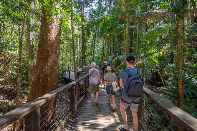 K'gari (Fraser Island) Small Group 4WD Adventure - From Noosa - A Deep Dive into the Fraser Island Adventure