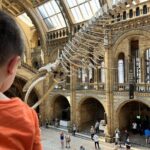 Kid-Friendly Natural History Museum & Dinosaurs Private Guided Tour in London - The Itinerary in Detail