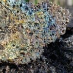 Kilauea Eruption Tour - Frequently Asked Questions (FAQs)