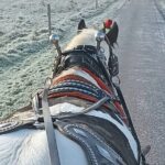 Killarney Jaunting Car Tour - Who Will Love This Tour?