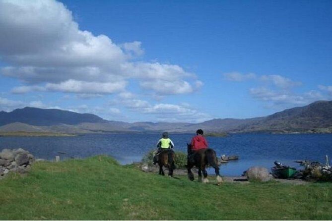 Killarney National Park Horseback Ride. Co Kerry. Guided. 1 hour. - What to Expect During the Ride