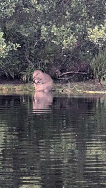 Killin: Loch Tay Beaver Canoe Tour - What to Expect on the Tour