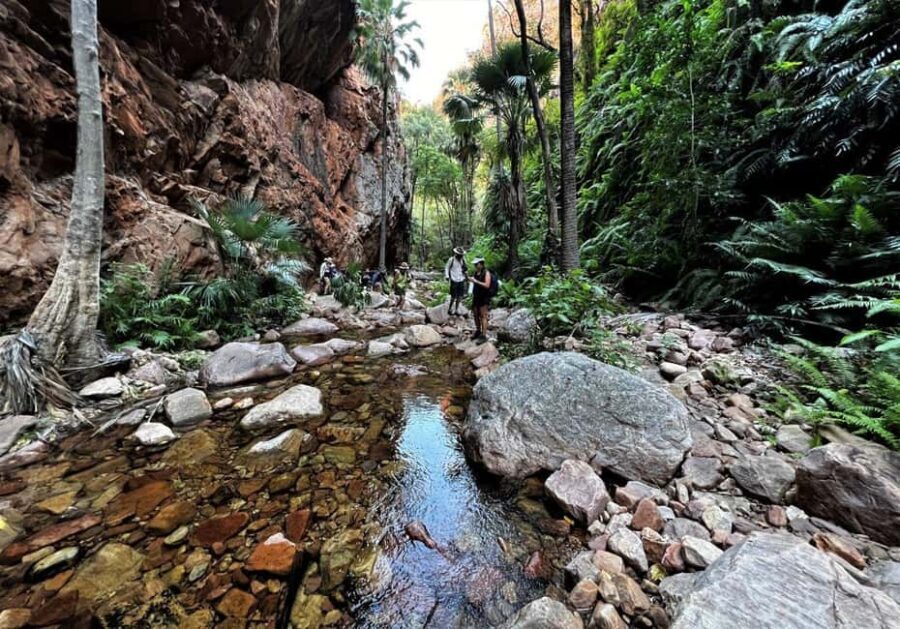 Kimberley: 9 Day Tour from Darwin to Broome - What Our Reviewers Say