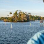 Kings Bay Crystal River Eco Cruise - An In-Depth Look at the Kings Bay Crystal River Eco Cruise