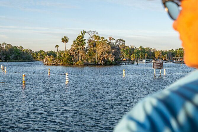 Kings Bay Crystal River Eco Cruise - An In-Depth Look at the Kings Bay Crystal River Eco Cruise
