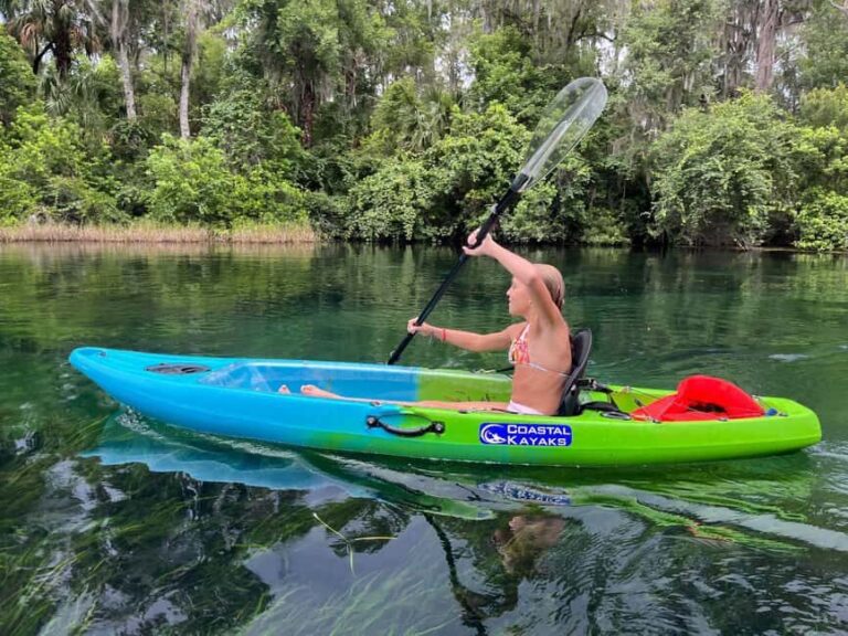 Kings Bay, Crystal River: Gentle Sunrise Manatee Kayak Tour - The Itinerary: Calm Waters and Close Encounters