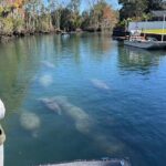 Kings Bay Eco Tours - FAQ