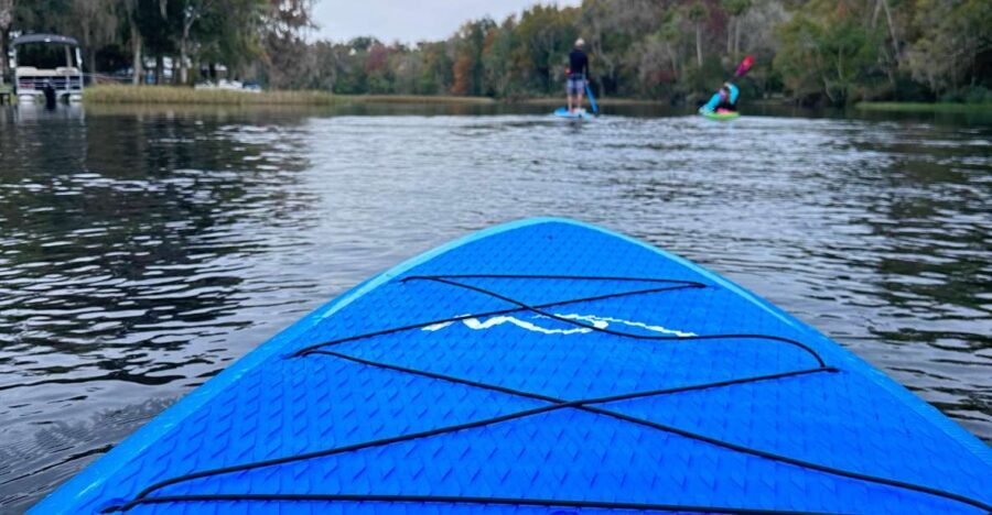 Kings Bay/Three Sisters: Self Guided Tour- ClearBottom Kayak - Why This Tour Offers Good Value