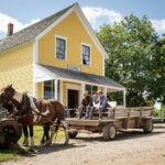 Kings Landing Admission Ticket - Who Will Love Kings Landing?