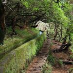 Kings Levada - Who Will Love This Tour?