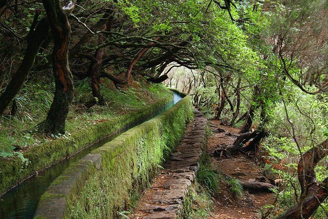 Kings Levada - Who Will Love This Tour?