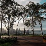 Kings Park Botanicals And Beyond - Final Thoughts