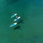 Kingscliff: Paddleboard and Mindfullness in the Mangroves - The Sum Up