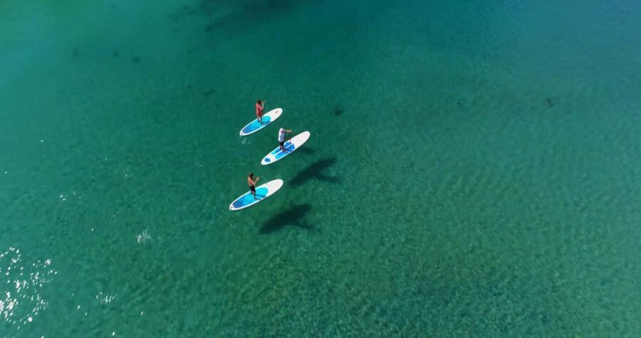 Kingscliff: Paddleboard and Mindfullness in the Mangroves - The Sum Up