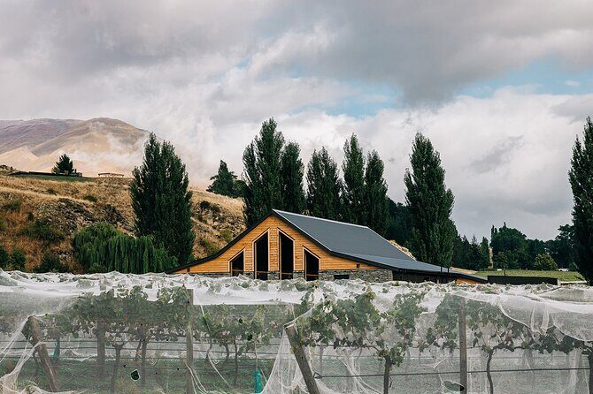 Kinross Winery: Pinot Noir Wine Tasting Experience - Why This Tasting Is a Win for You