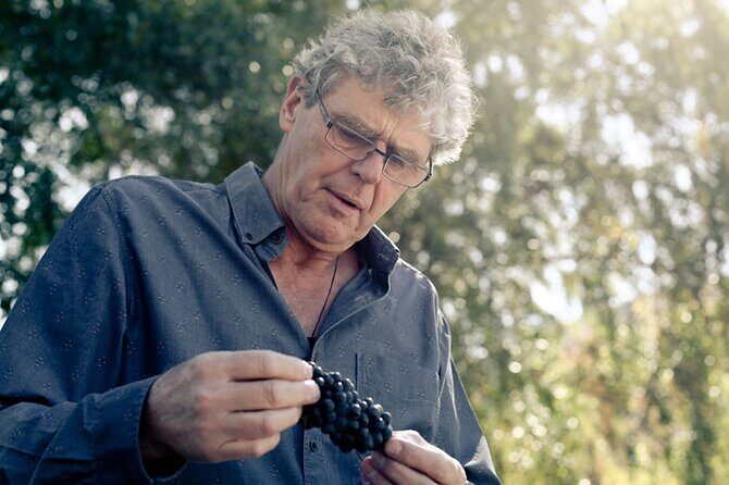 Kinross Winery: Valli Wine Tasting Experience - Final Thoughts