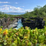 Kiruna: Abisko National Park Guided Day Tour with Lunch - An In-Depth Look at the Abisko National Park Day Tour