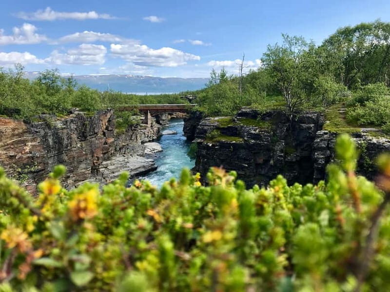 Kiruna: Abisko National Park Guided Day Tour with Lunch
