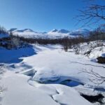 Kiruna: Abisko National Park Snowshoe Hike with Lunch - An In-Depth Look at the Tour Experience