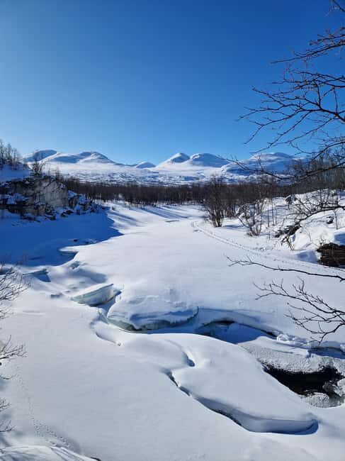 Kiruna: Abisko National Park Snowshoe Hike with Lunch - An In-Depth Look at the Tour Experience