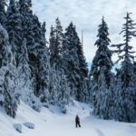 Kiruna: Daytime Snowshoe Hike - An In-Depth Look at the Kiruna Snowshoe Hike