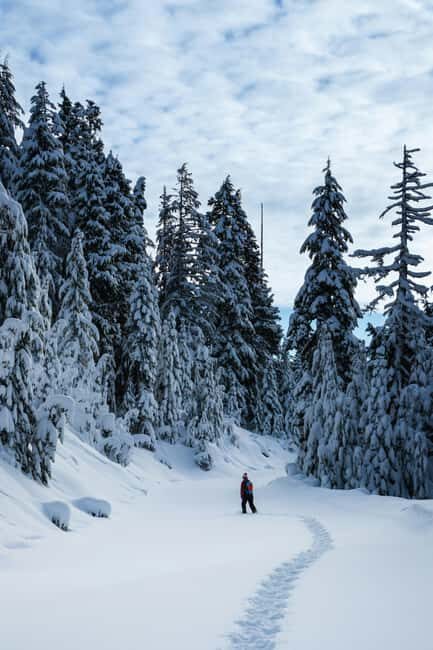 Kiruna: Daytime Snowshoe Hike - An In-Depth Look at the Kiruna Snowshoe Hike