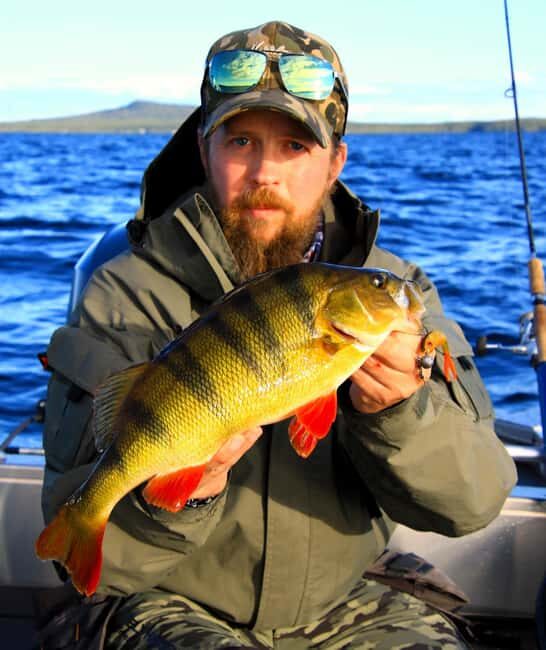 Kiruna: Lapland Fishing Tour with Guide and Gear - Who Will Love This Experience?