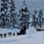 Kiruna: Morning Husky Sled Ride with Coffee Break - Practical Details and Value