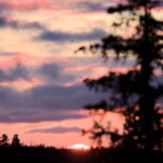 Kiruna: Northern Lights Dog Sled Tour with Swedish Fika - What’s Included and What’s Not