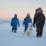 Kiruna: Snowshoe Hike & Ice fishing Tour - A Deep Dive into the Snowshoe & Ice Fishing Experience