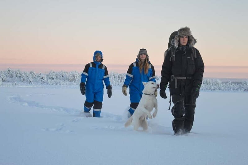 Kiruna: Snowshoe Hike & Ice fishing Tour - A Deep Dive into the Snowshoe & Ice Fishing Experience