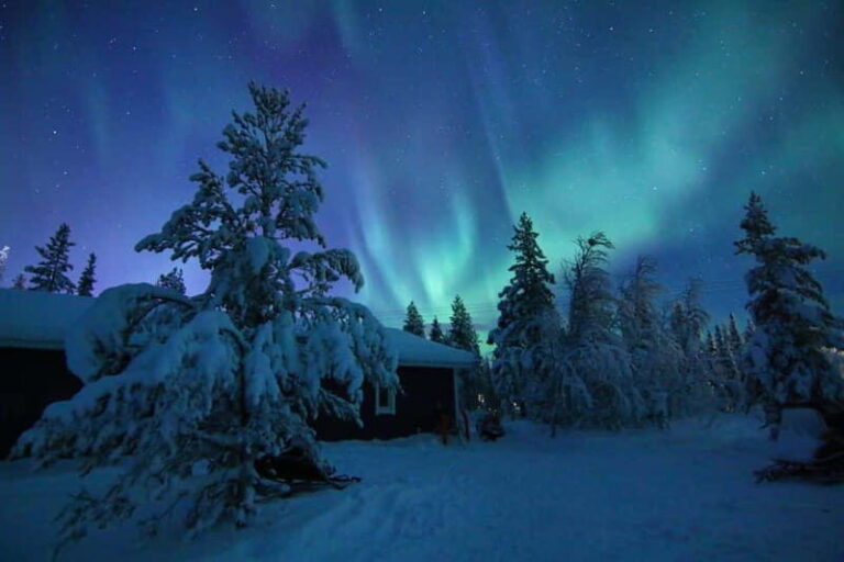 Kiruna: Snowshoe Trek with Aurora Hunt and Warm Beverage - Practical Tips for a Smooth Experience