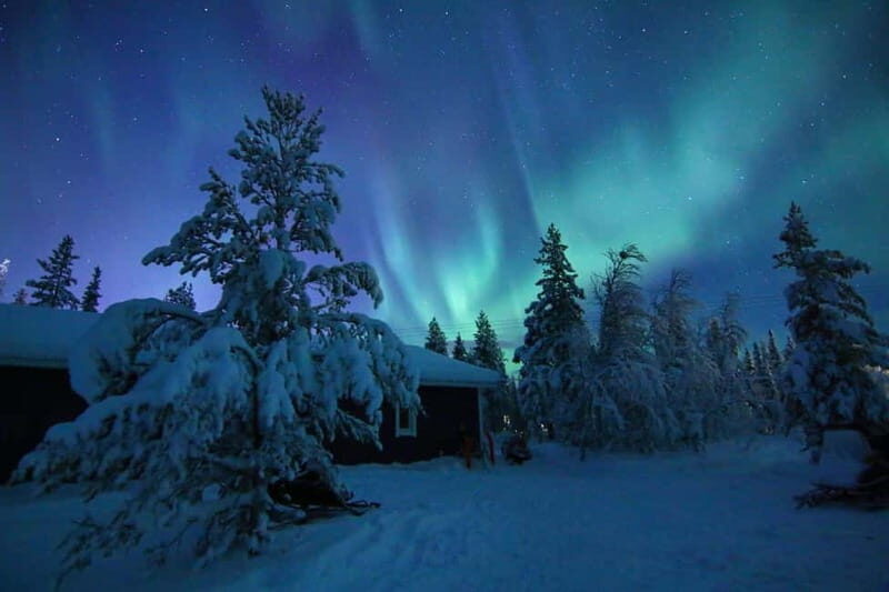 Kiruna: Snowshoe Trek with Aurora Hunt and Warm Beverage - Practical Tips for a Smooth Experience