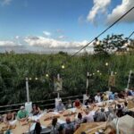 Kissamos: Greek Night Experience with Dancing and Buffet Dinner - An In-Depth Look at the Kissamos Greek Night Experience
