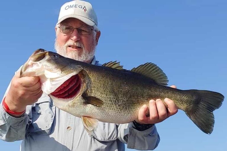 Kissimmee: Private Lake Tohopekaliga Fishing Charter - What’s Included and What’s Not
